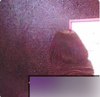 1.推特小姐姐2.一只喔彩虹3.DADIBABAO4.日常推文5.百度顽皮