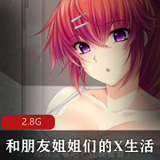 和朋友一起享受X生活的精翻汉化PC版游戏