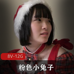 粉色小兔子另三部作品无圣光8V-12G下载