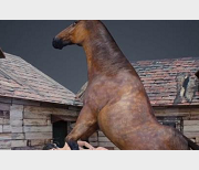 小马J3D动画合集，时长6V-5.2G，3D动画资源下载