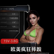 疯狂摔跤比赛欧美版，G系列，15V-3.8G