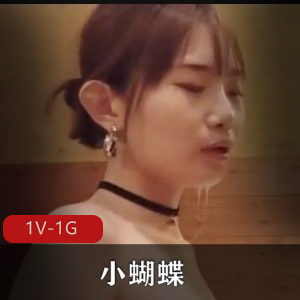 韩国小蝴蝶战斗风格视频合集，1V-1G，资源失效请联系ZFB，留言退款或补发，别错过！