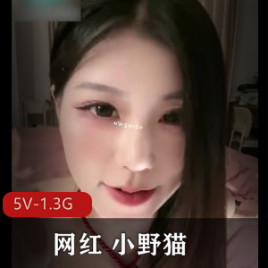 网红小野猫直播秀：御姐身材颜值反差大，道具棒棒糖惊艳全场！5V1.3G超火视频