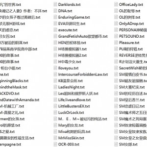 合集网菲莉茜丝变身合集2000部50G超火爆