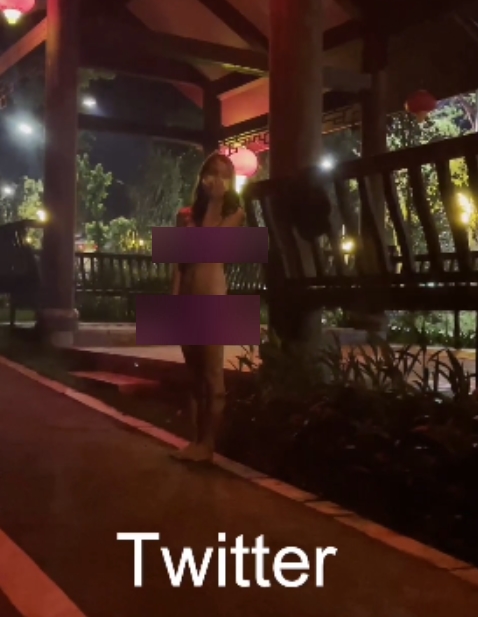 公园爱吃菠萝展示超敢秀72V合集8G珍藏