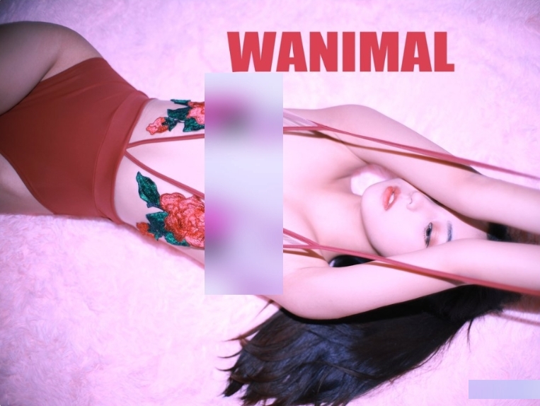 微博捷哥户外作品43部11.3G高清展示