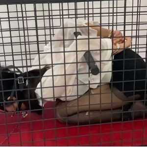 kf云涵涵私房视频15部15G优质身材