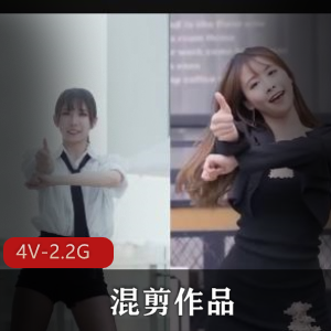 B站李露PMV混剪4部2.2G太顶了