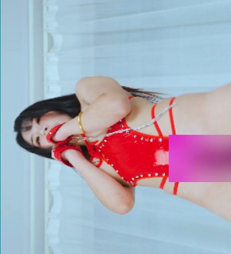 艺舞晨晨热舞14部7.8G优质