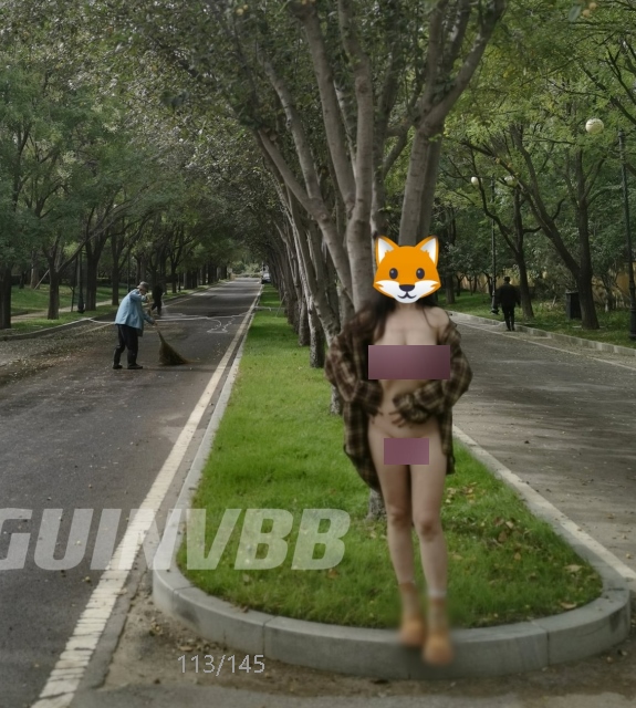 小狐狸DAGUINV推特街拍合集74MB大胆人前展示20万粉福利