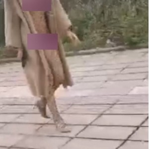 风筝断了线劲爆合集户外展示88部33.8G太顶了